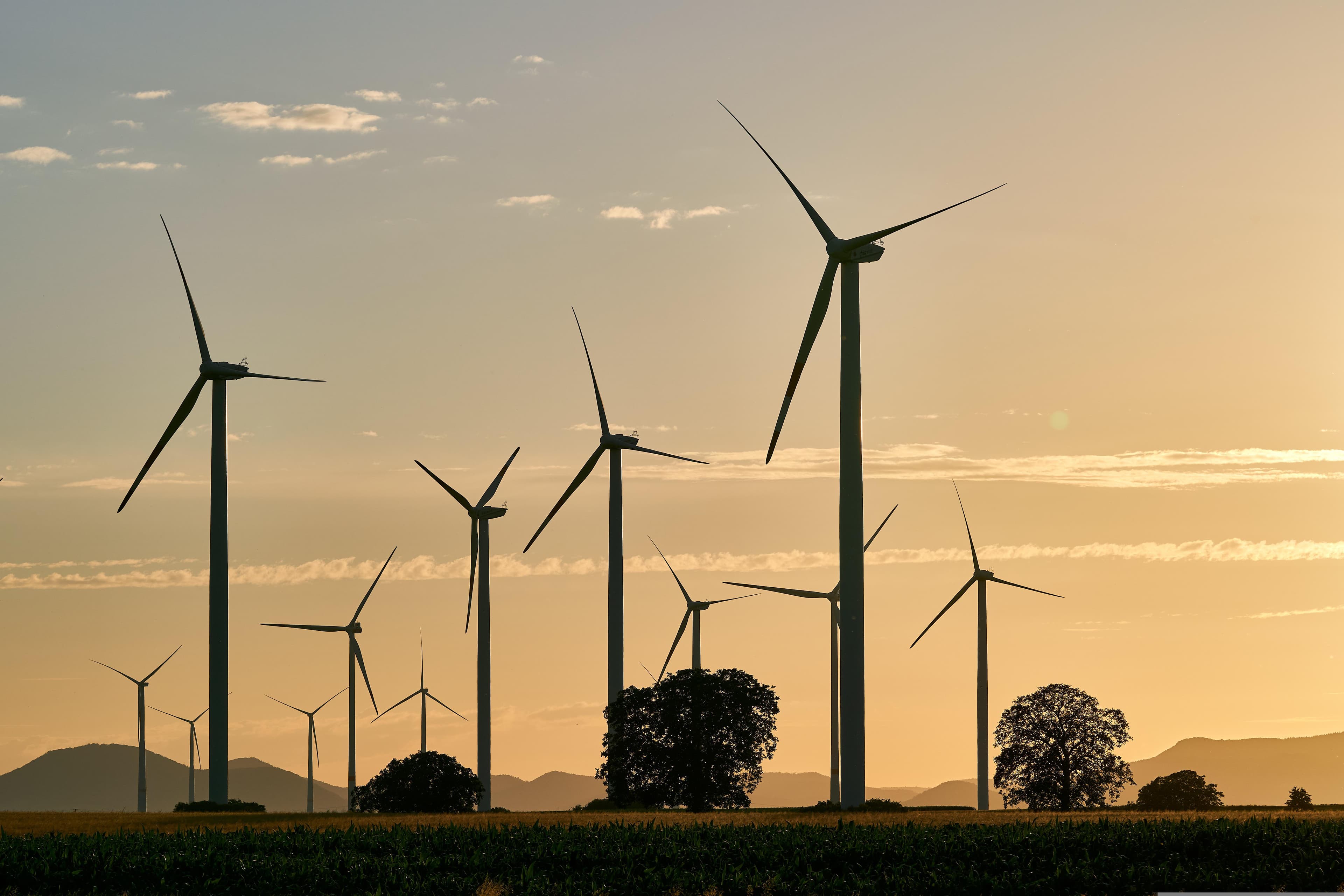 Cover image for the Energy sector overview